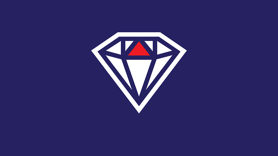 AMI logo