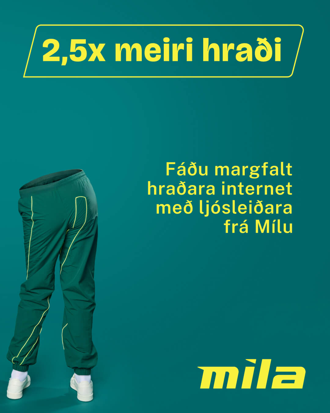 FEED 1 samsett b