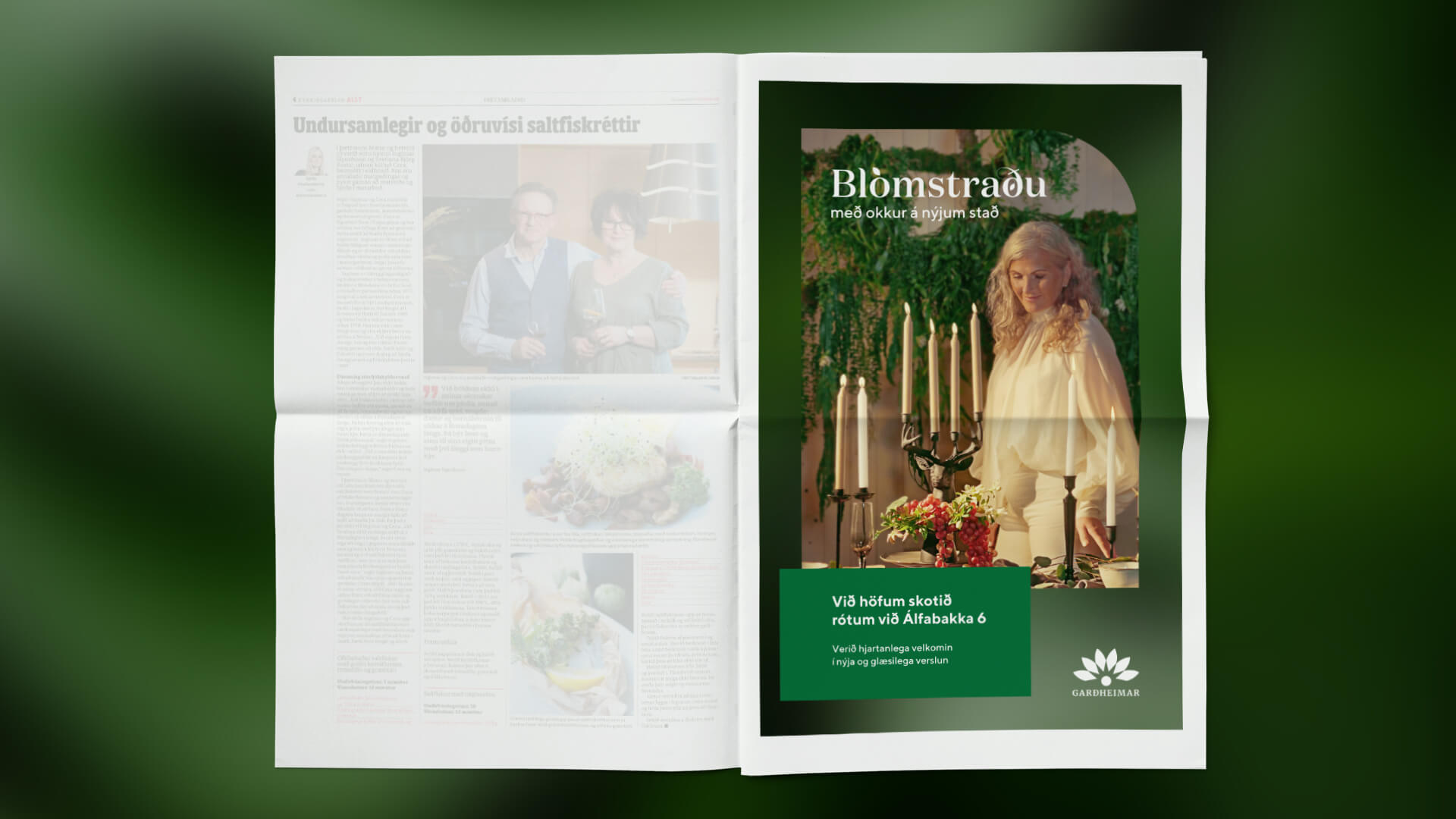 Gardheimar dagblad mock 1