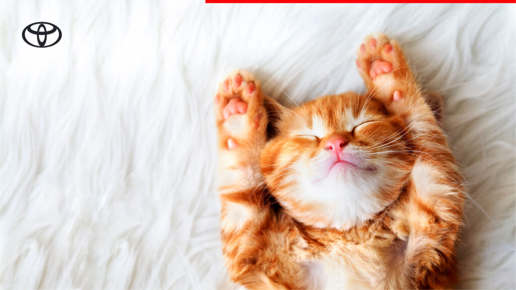 Auglýsingaherferð Toyota dekur og áhyggjuleysi