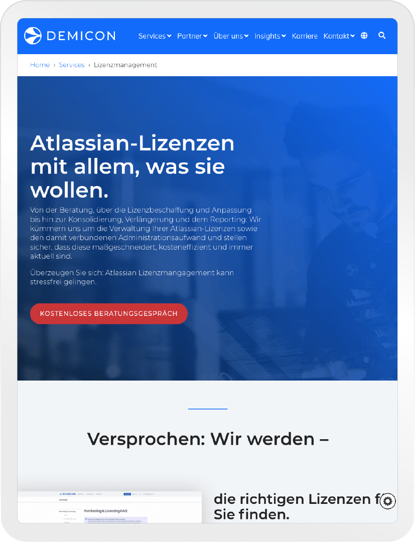 demicon2 mynd 3 copy