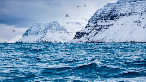 iceland seas menu mynd